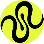 Squid Logo